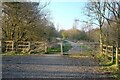 In Newgate Nature Reserve