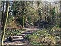 Path in Long Wood, Bedelands Farm local nature reserve