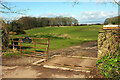 Cattle grid by Sandy Lane