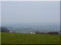 View from a ridge, Newchurch