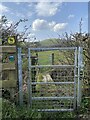 Stile and footbridge