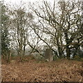 Triangulation pillar, Craig-y-dorth