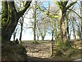 Gate and winter trees at Clovenrocks Bridge