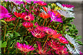 South Molton : The Square Hanging Baskets