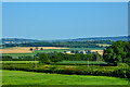 Sampford Peverell : Countryside Scenery