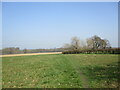 Footpath to Kirklington