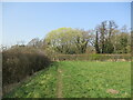 Footpath to Kirklington