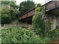 Burlescombe : Grand Western Canal - Black Bridge