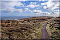 SO2929 : On Hatterrall Ridge by Ian Capper