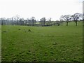 Monmouthshire pasture land