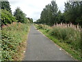 Towpath beside the Forth and Clyde Canal