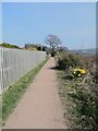 Fife Coastal Path at Dalgety Bay