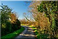 Pilning : Gumhurn Lane