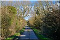 Pilning : Rookery Lane