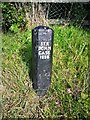 Estate boundary marker, Blue Angel Lane, West Tilbury