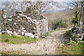 A ruined barn at Gellilwyd Fawr