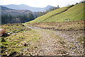 A track on Gellilwyd Farm