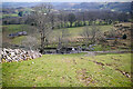 On the green lane up from Gellilwyd Fawr