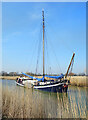 TM3957 : Dutch Barge on the Alde by Des Blenkinsopp