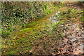 Wet bridleway near Barton Hall