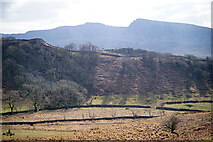 SH6916 : Walled fields beneath Craig Y Castell by John Lucas