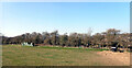 A field by Smithies Moor Lane, Batley