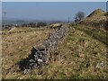 Broken drystone wall 