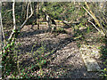 Remains of a building north of Hackenden Lane