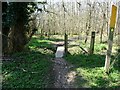 Footbridge in Bailey Sim Wood