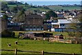 Wiveliscombe : Grassy Field