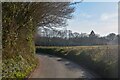 Bathealton : Country Lane