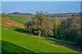 Bathealton : Grassy Field