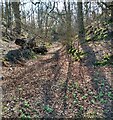 Old quarry access