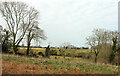 Field and trees, Ball Copse