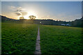 Wiveliscombe : Grassy Field