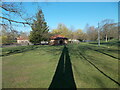 Tree shadows, Wardown Park