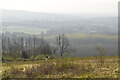 TQ3753 : Hazy view from the North Downs by N Chadwick