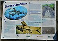 NS5373 : The Bearsden Shark by Richard Sutcliffe