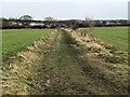 NZ2635 : Path between fields near Tudhoe Colliery by David Robinson
