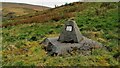 Capped Mine Shaft