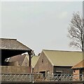 Barns at Stonehall Farm