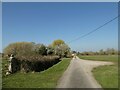 Rush hour in Goosey