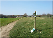 SU8899 : Footpath Sign near Nairdwood Farm by Des Blenkinsopp