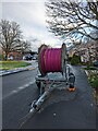TF0820 : Purple coils by Bob Harvey