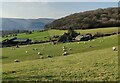 Gaerstones Farm at Church Stretton