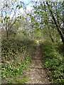 Muswell Hill : footpath, Grove Lodge Gardens