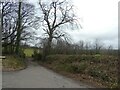 Access road to Trevecca Farm