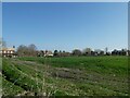 Farmland at Lyford