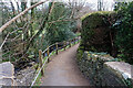 Footpath leading to the footbridge over Afon Wnion