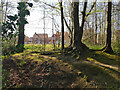 A glimpse of houses, Charman Gardens, Ifield